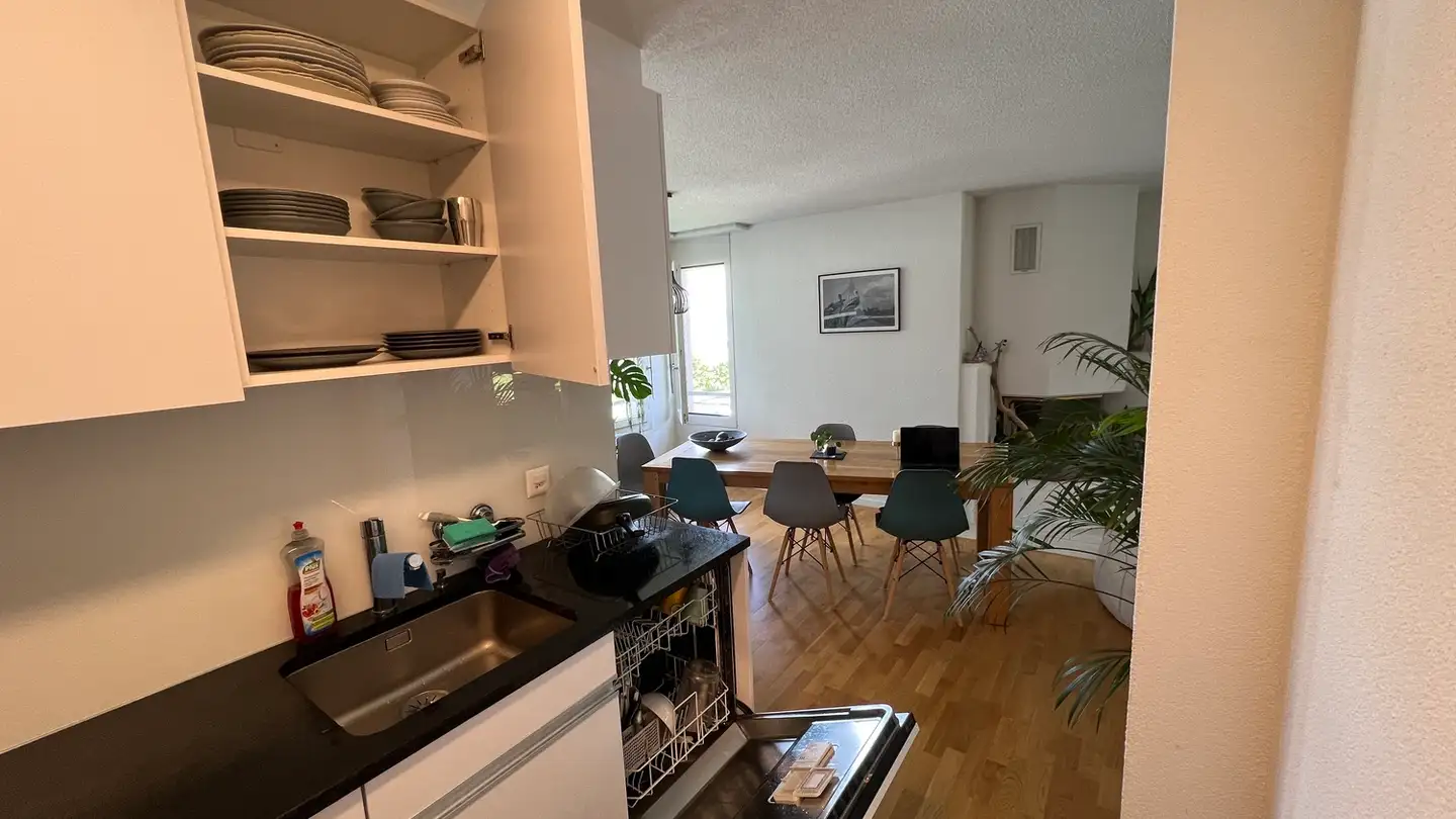Apartment for rent - 8820 Wädenswil - Photo 4