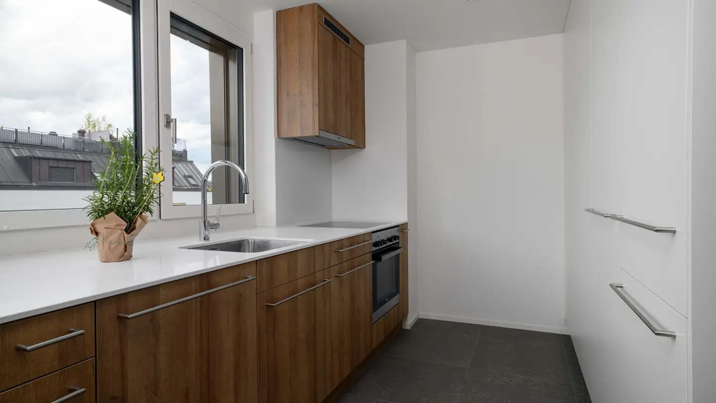 Appartement à louer - Schaffhauserstrasse 486, 8052 Zürich - Photo 3