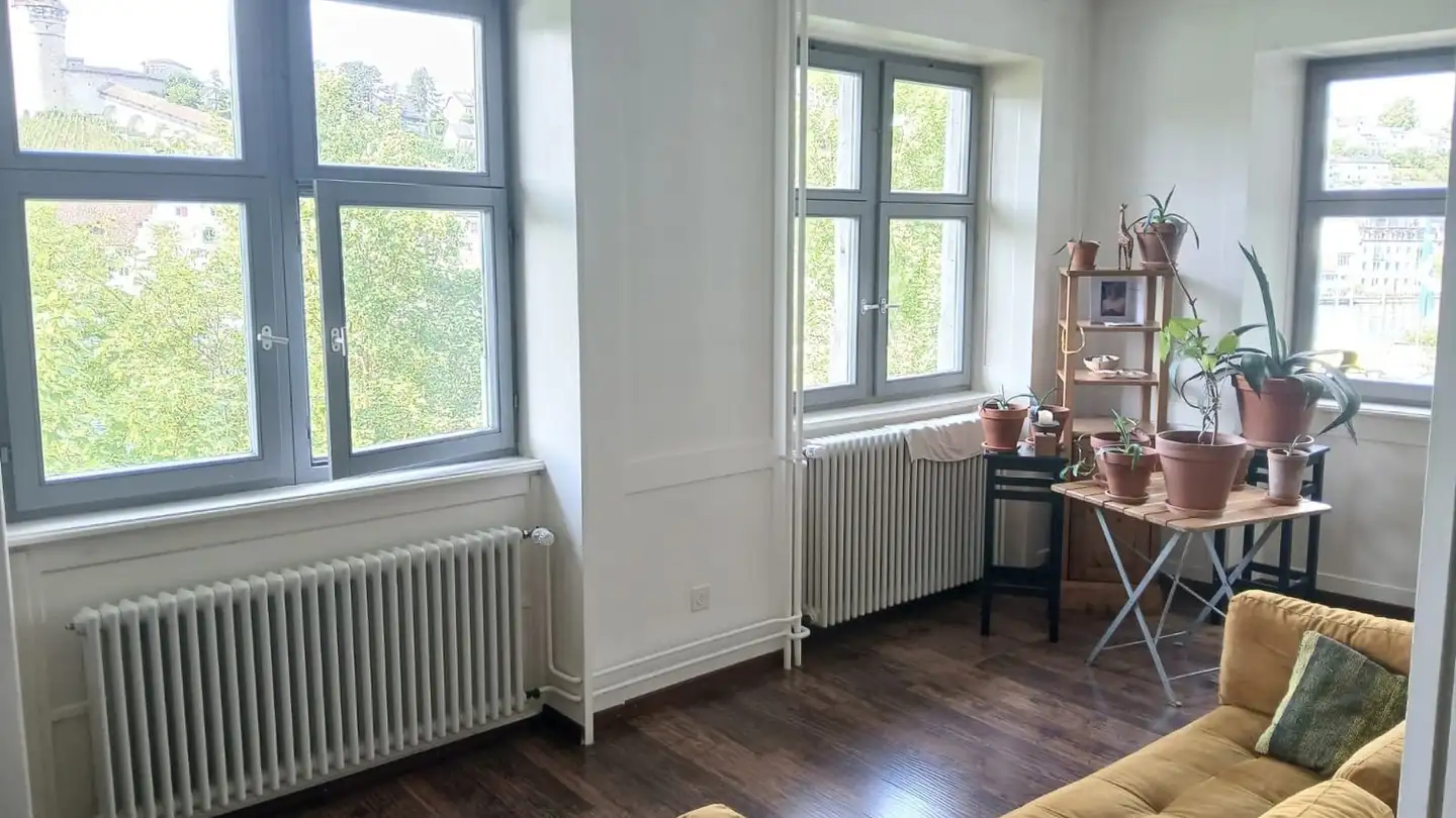 Möblierte Wohnung mieten - Untere Rheingasse 7, 8245 Feuerthalen