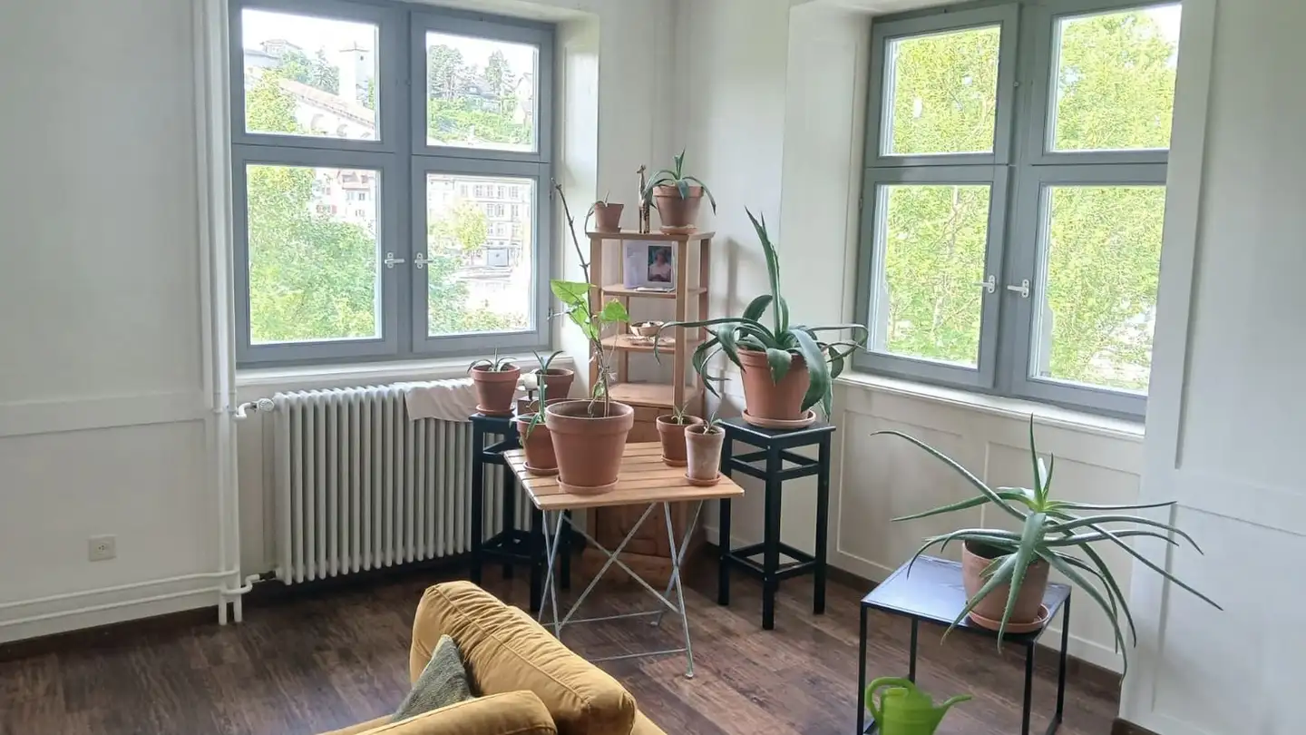 Möblierte Wohnung mieten - Untere Rheingasse 7, 8245 Feuerthalen - Foto 2