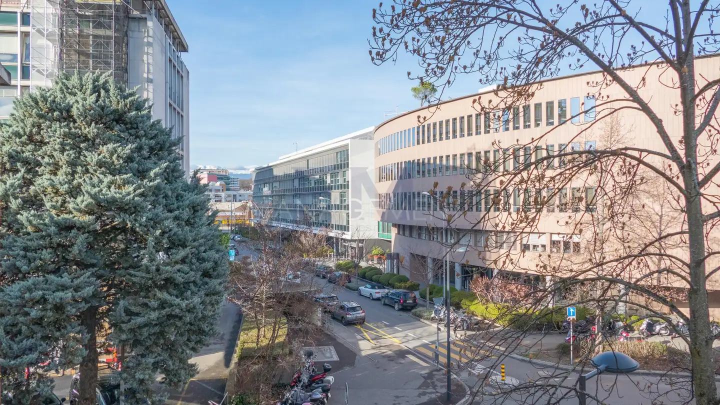Wohnung mieten - Rue Des Caroubiers, 1227 Carouge GE - Foto 2