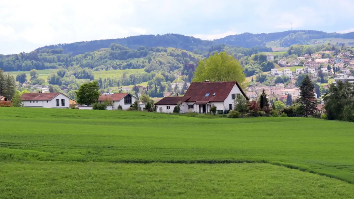 Casa singola in vendita - Gondiswinkel 22, 5734 Reinach AG - Photo 3