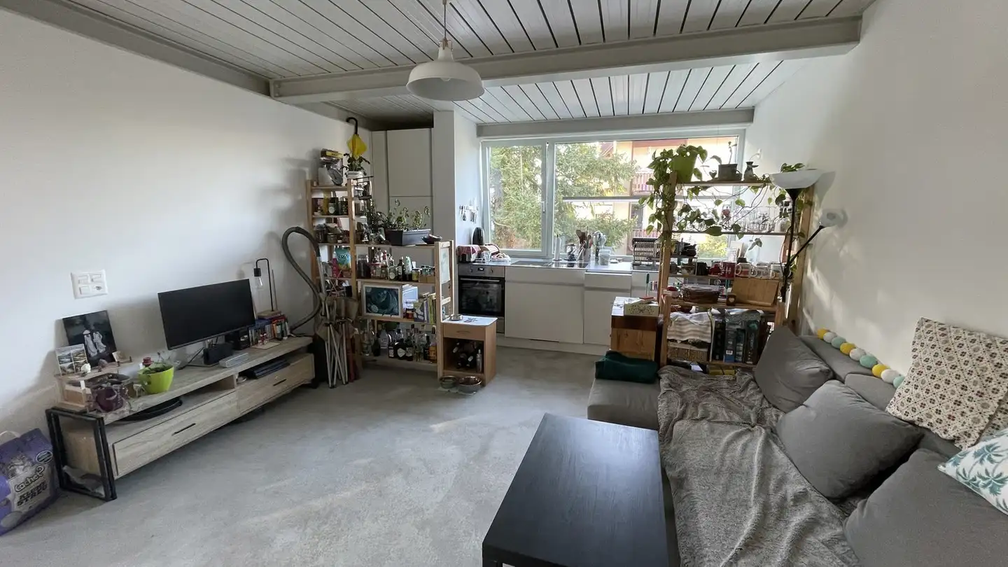 Appartement à louer - Herbstweg, 8050 Zürich