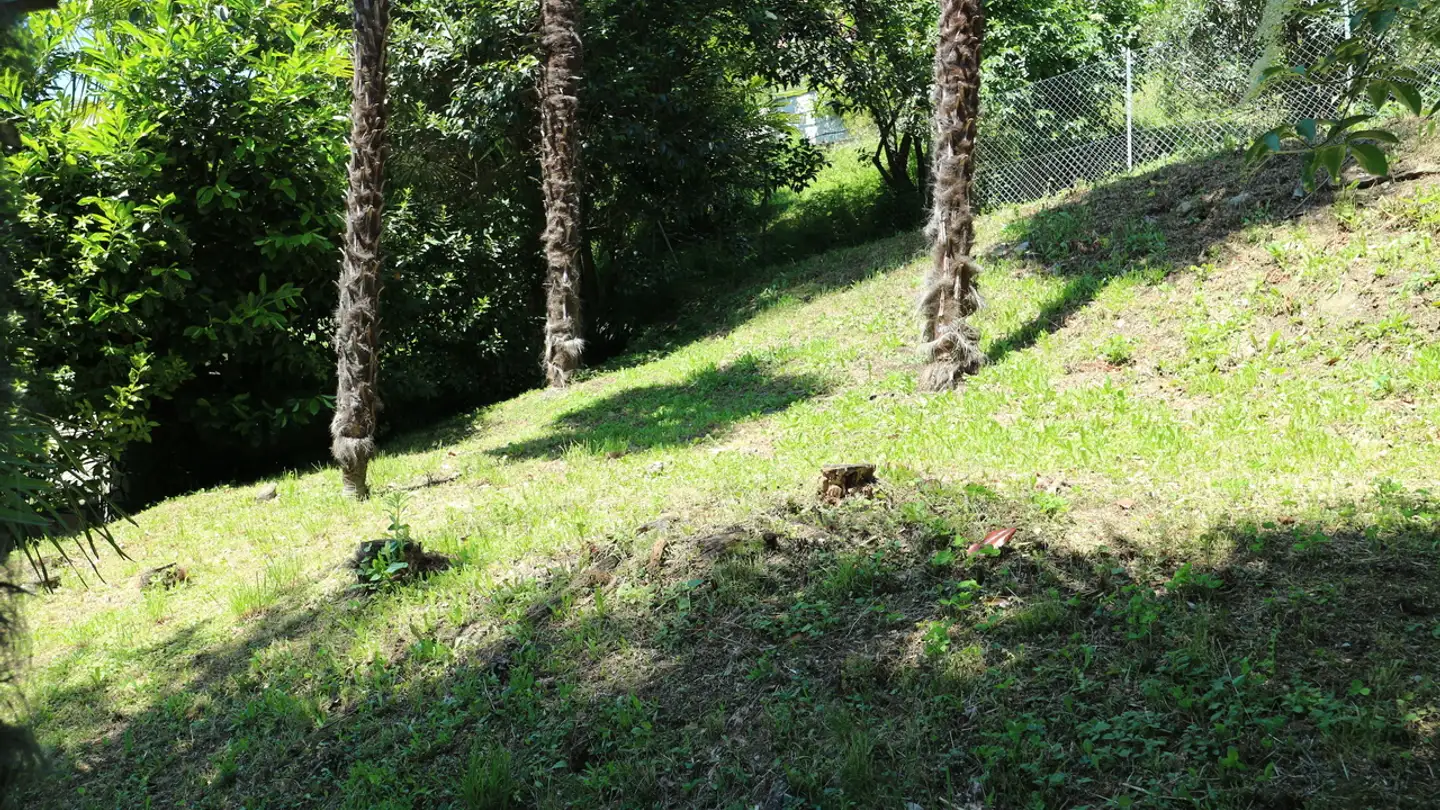 Constructible plot for sale - 6977 Ruvigliana - Photo 3