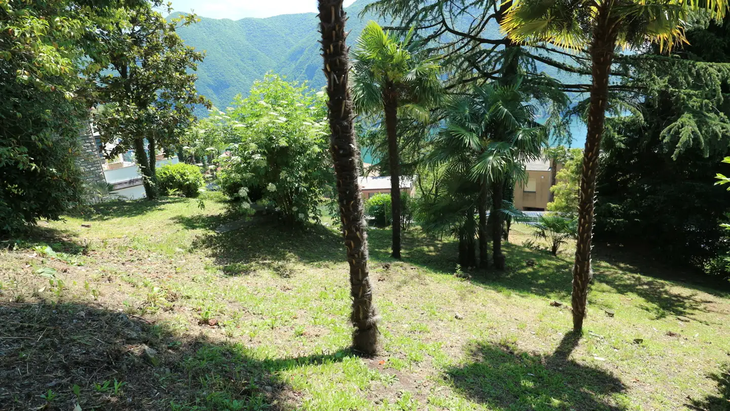 Constructible plot for sale - 6977 Ruvigliana - Photo 2