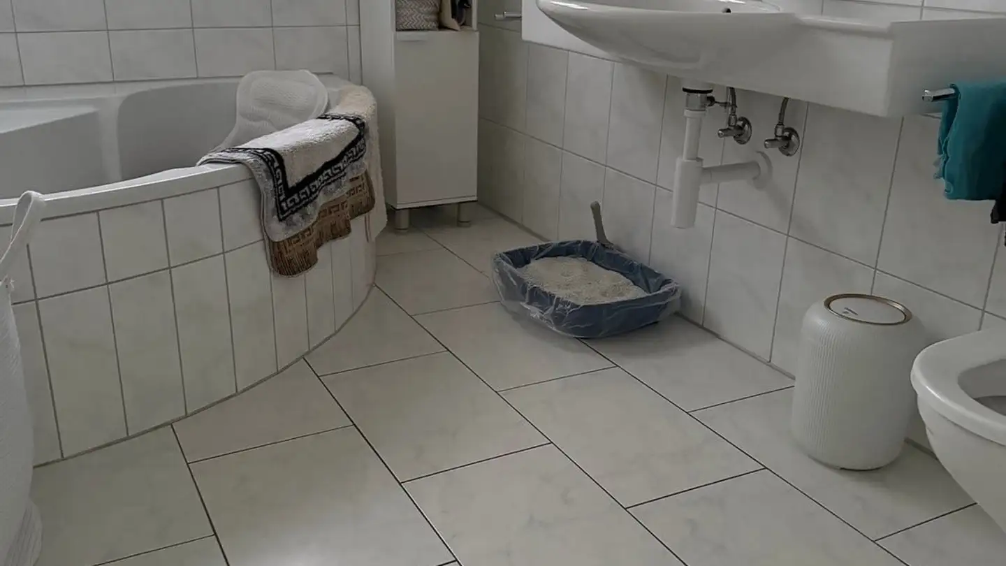 Appartement à louer - 8192 Glattfelden - Photo 3