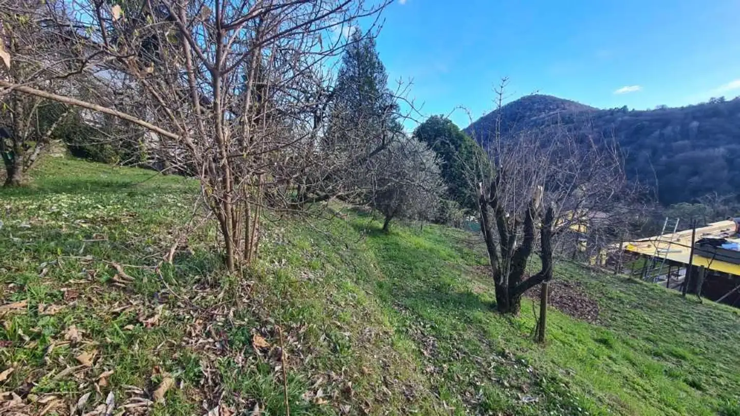 Constructible plot for sale - Via Runcaa, 6986 Curio