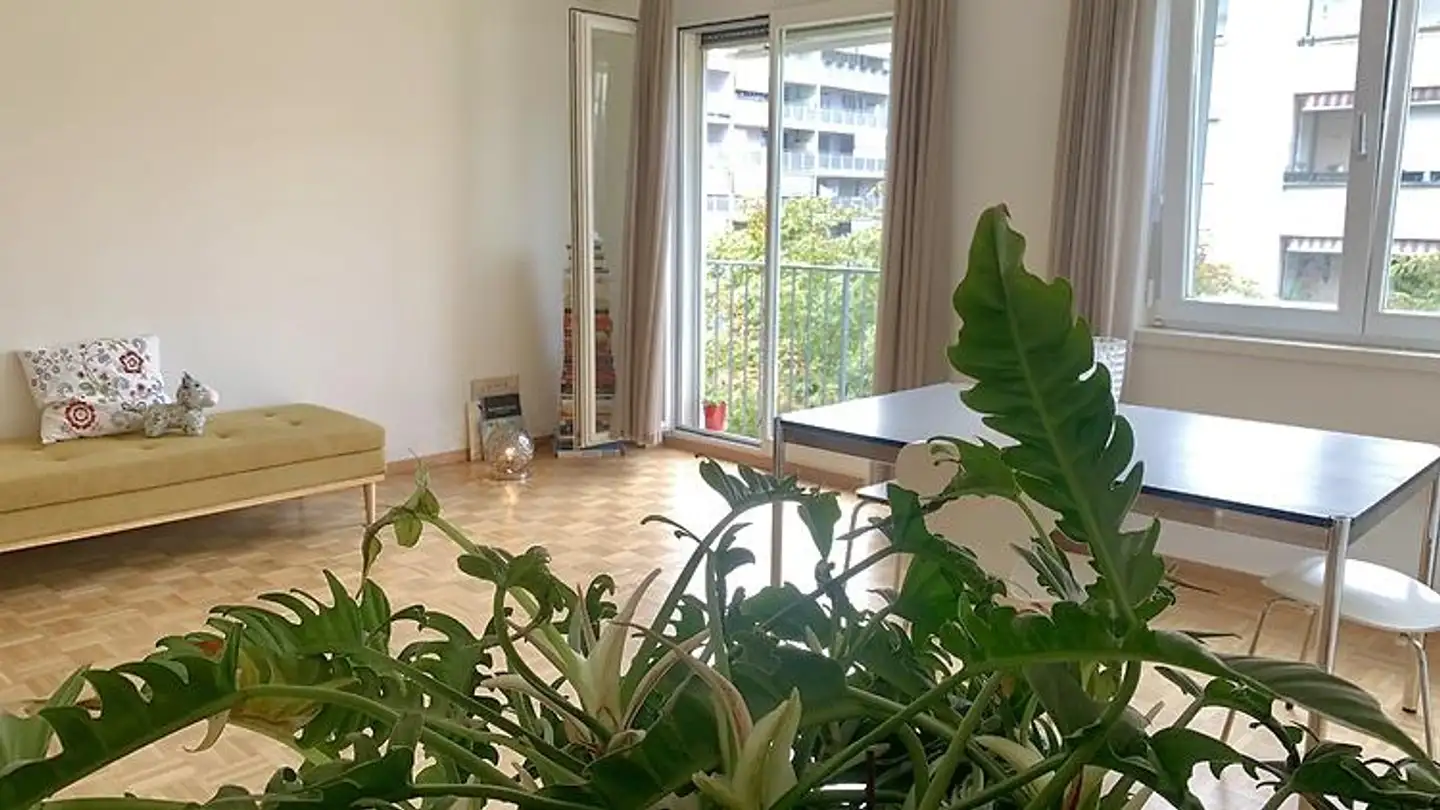 Appartamento ammobiliato in affitto - 4057 Basel