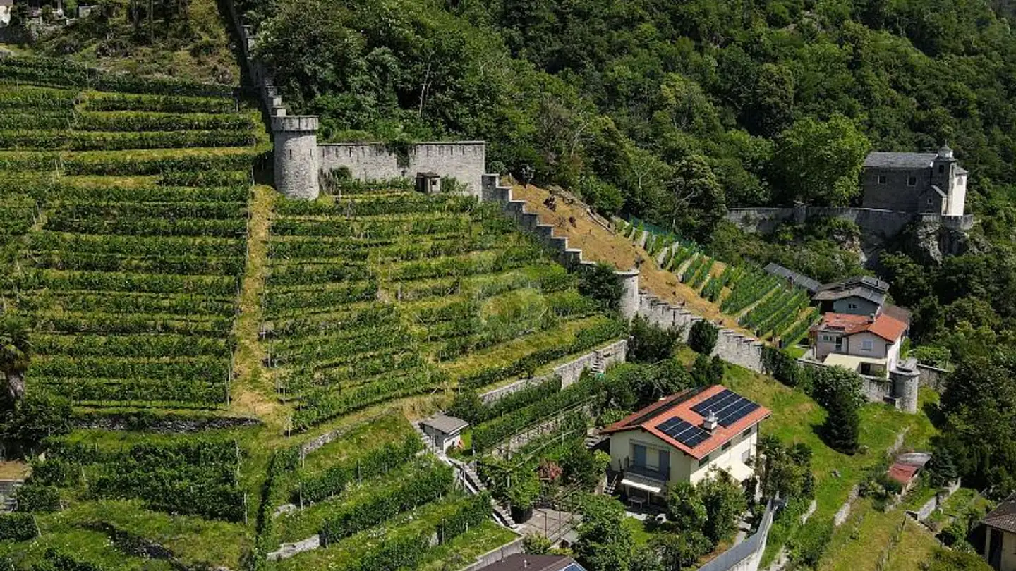 Fabrik mieten - 6514 Sementina - Foto 2