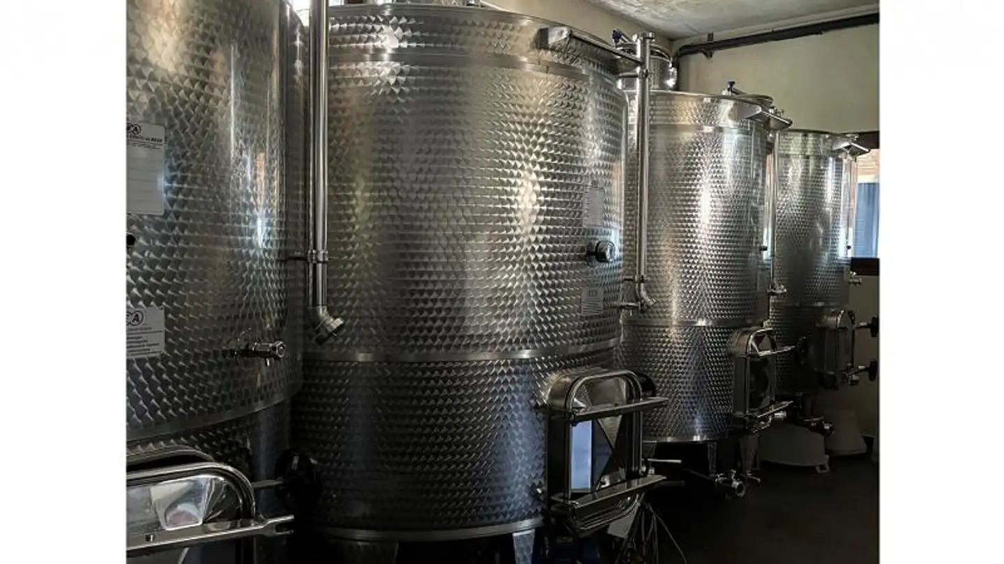 Fabrik mieten - 6514 Sementina - Foto 4