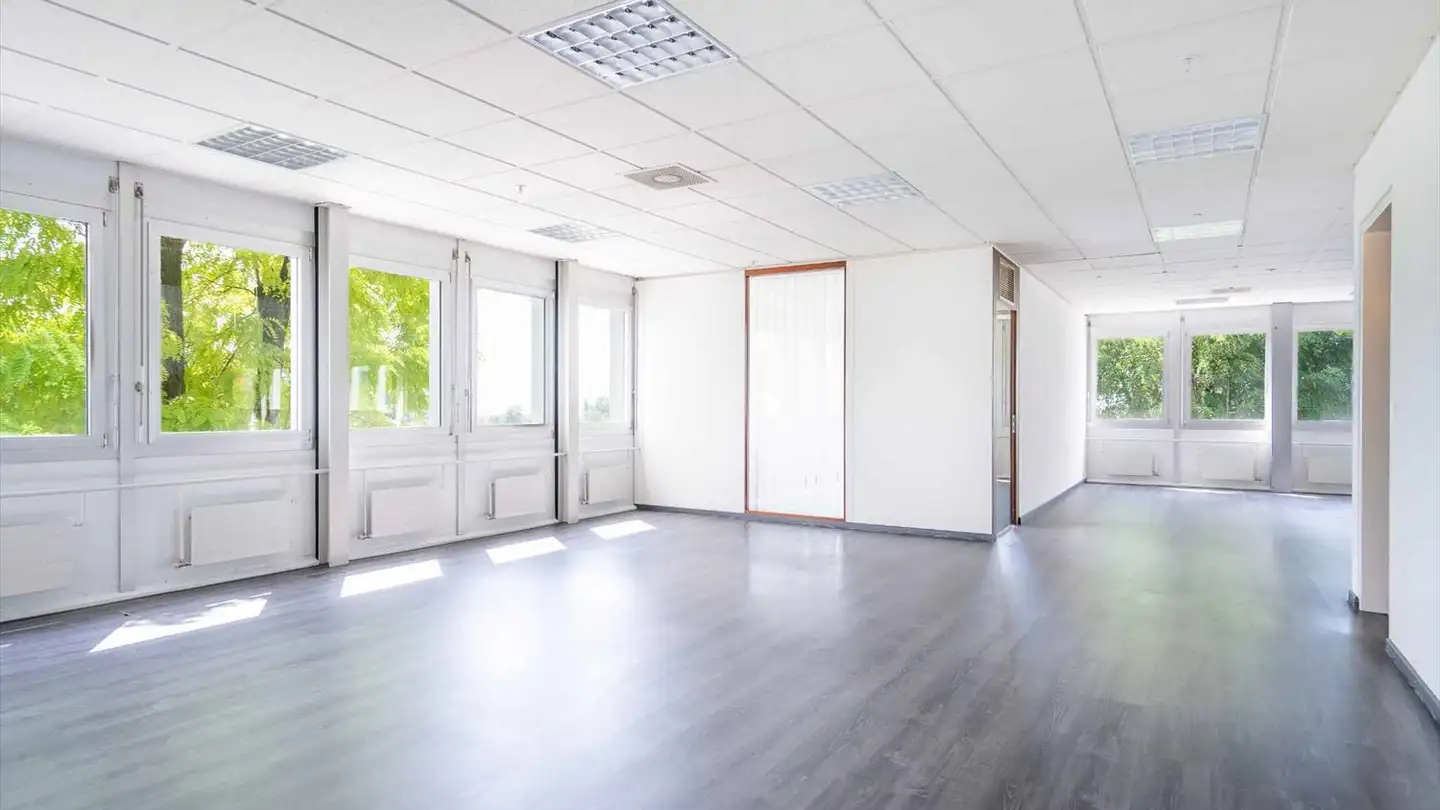 Commerciale in affitto - 1029 Villars-Ste-Croix - Photo 3