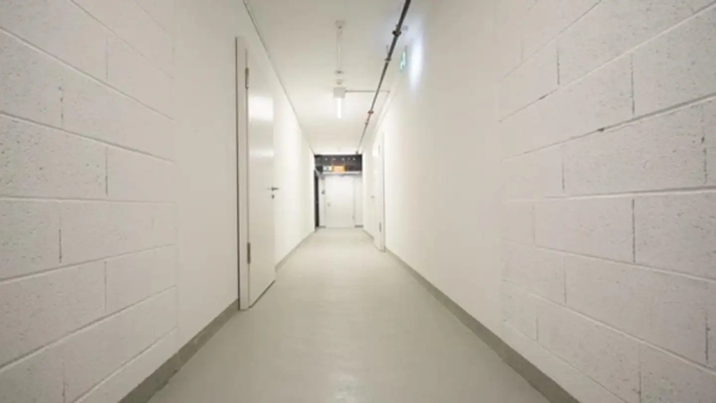 Storage space for rent - Route Du Grand-Lancy, 1212 Grand-Lancy - Photo 2