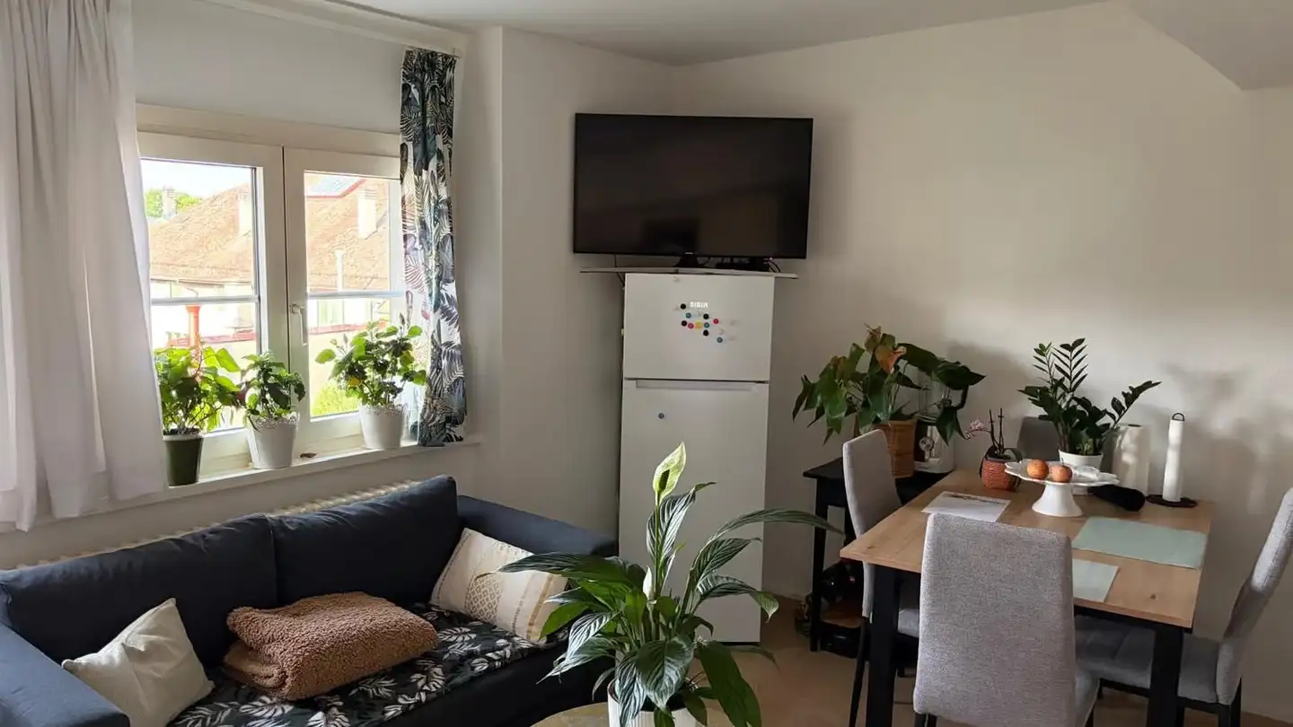 Wohnung mieten - 1260 Nyon