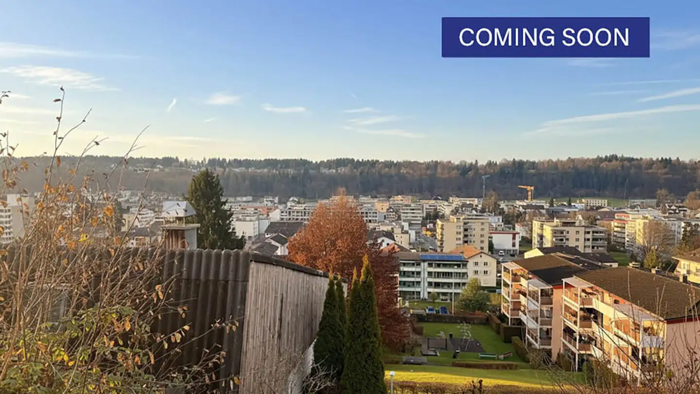 Terreno edificabile in vendita - Aeschenthürlistrasse, 6030 Ebikon