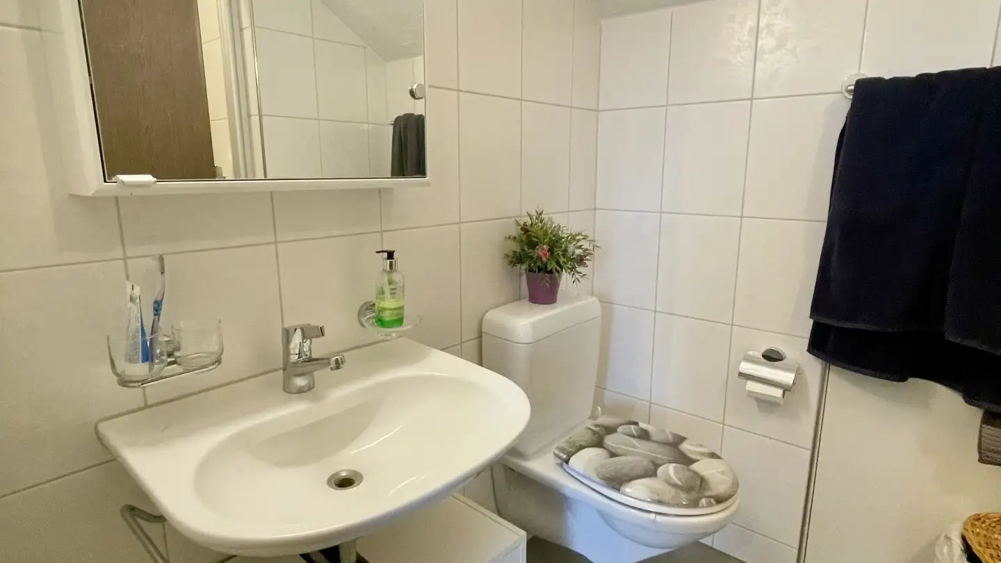 Attic flat for rent - Steinackerstrasse, 9246 Niederbüren - Photo 2