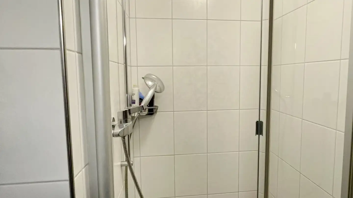 Attic flat for rent - Steinackerstrasse, 9246 Niederbüren - Photo 3