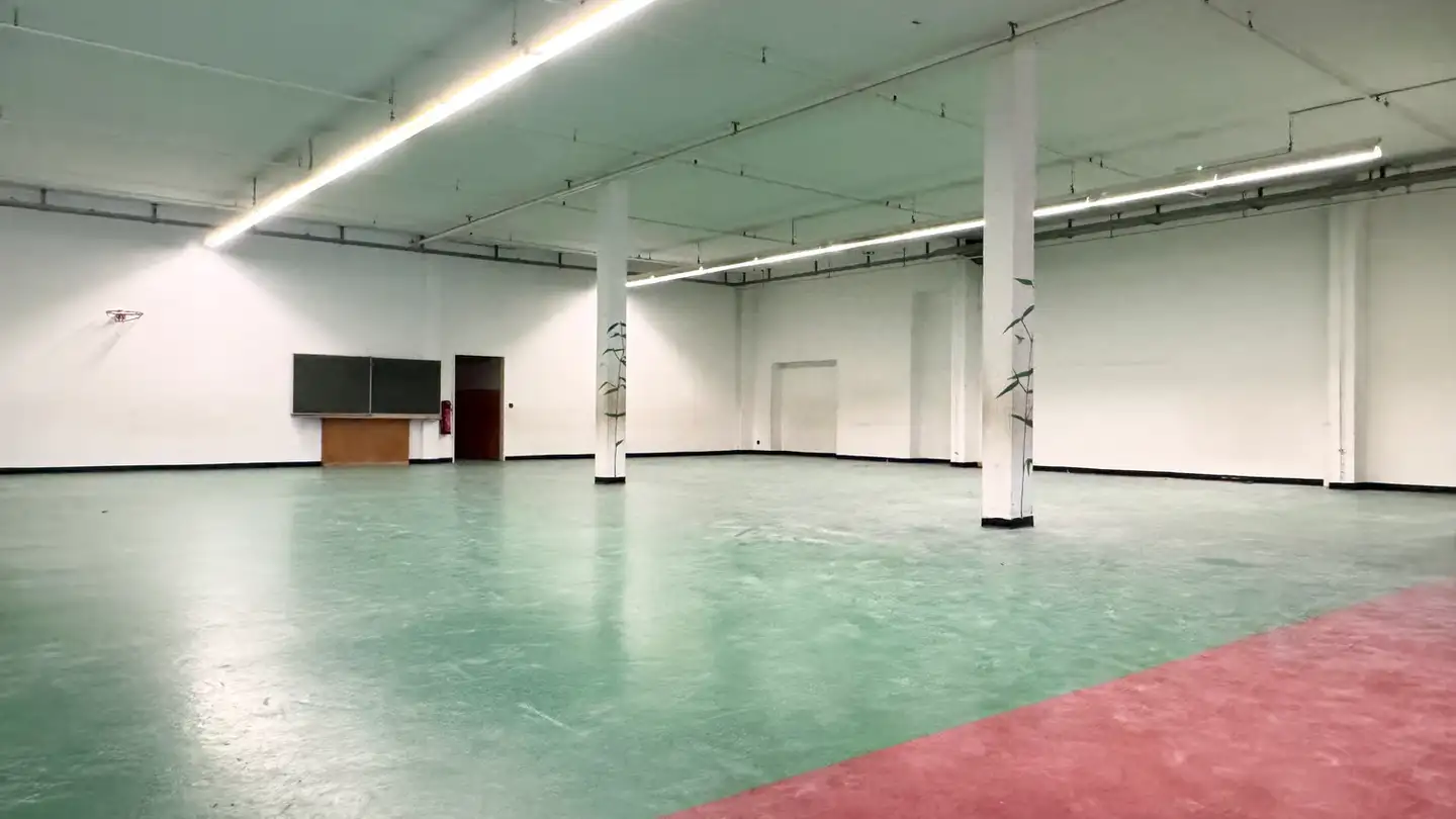 Gewerbe mieten - Via Dante Alighieri 10, 6830 Chiasso - Foto 2