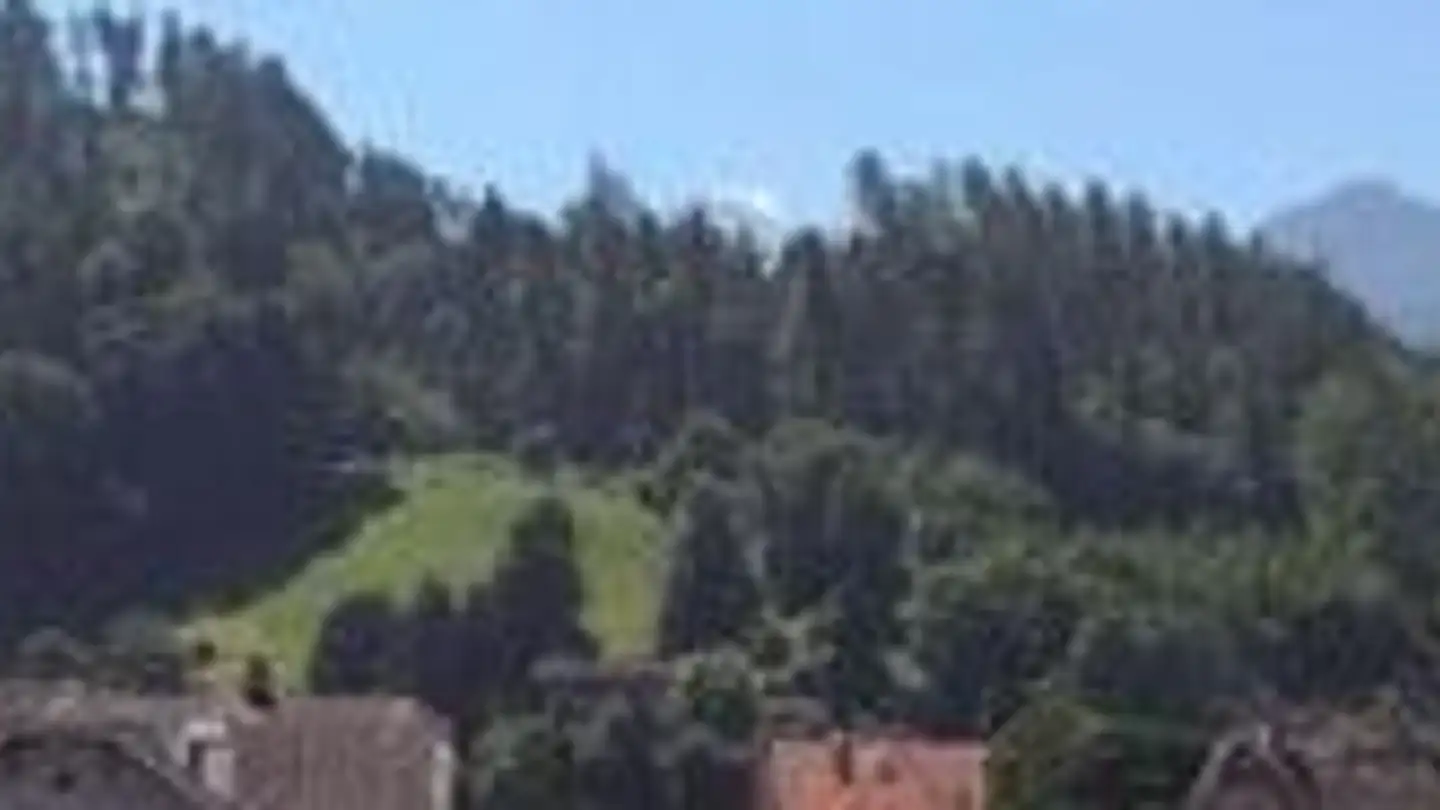 Apartment for rent - General-Guisan-Strasse, 3800 Interlaken