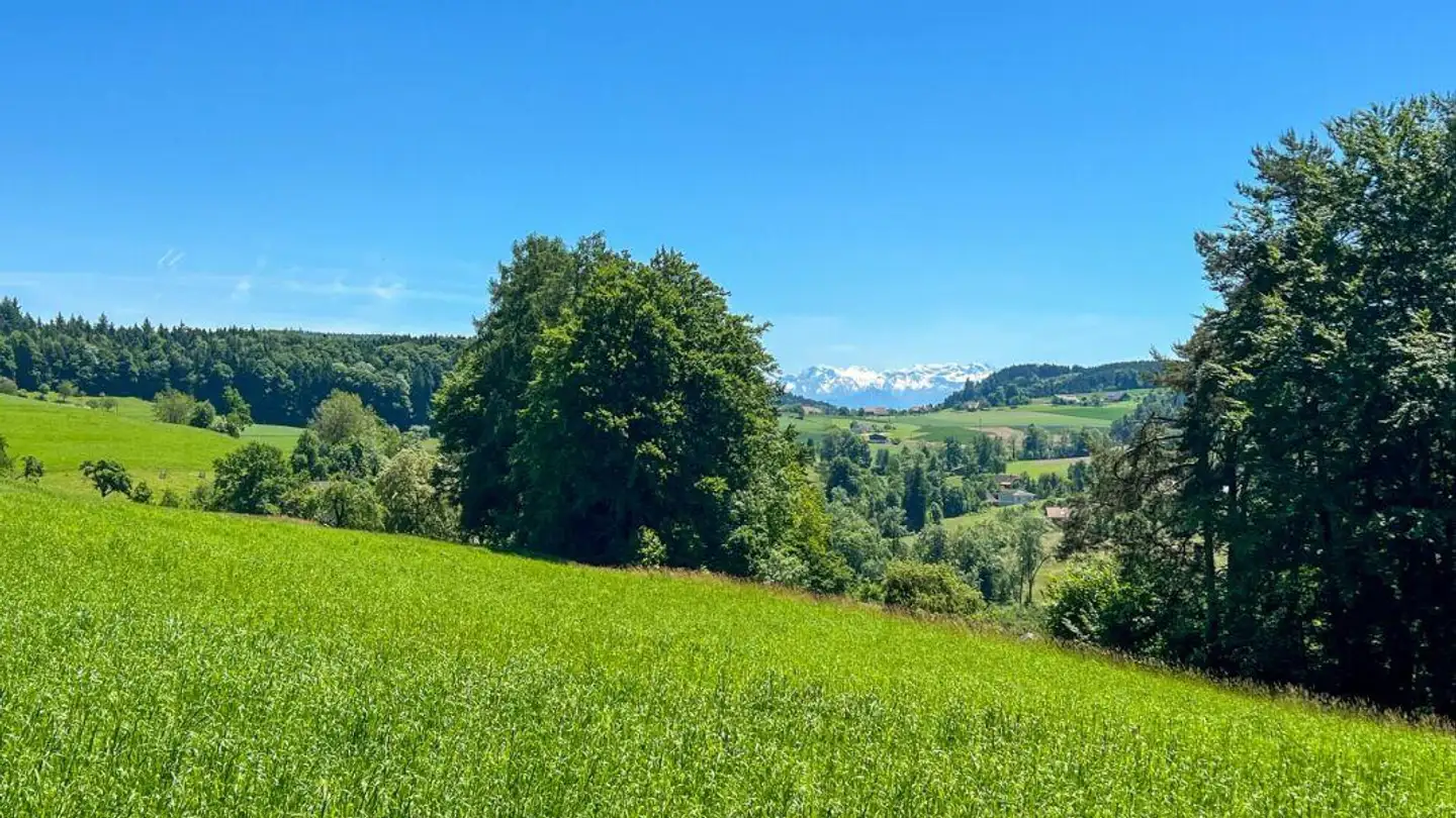 Casa bifamiliare in vendita - Weiherweg, 5046 Walde AG - Photo 4