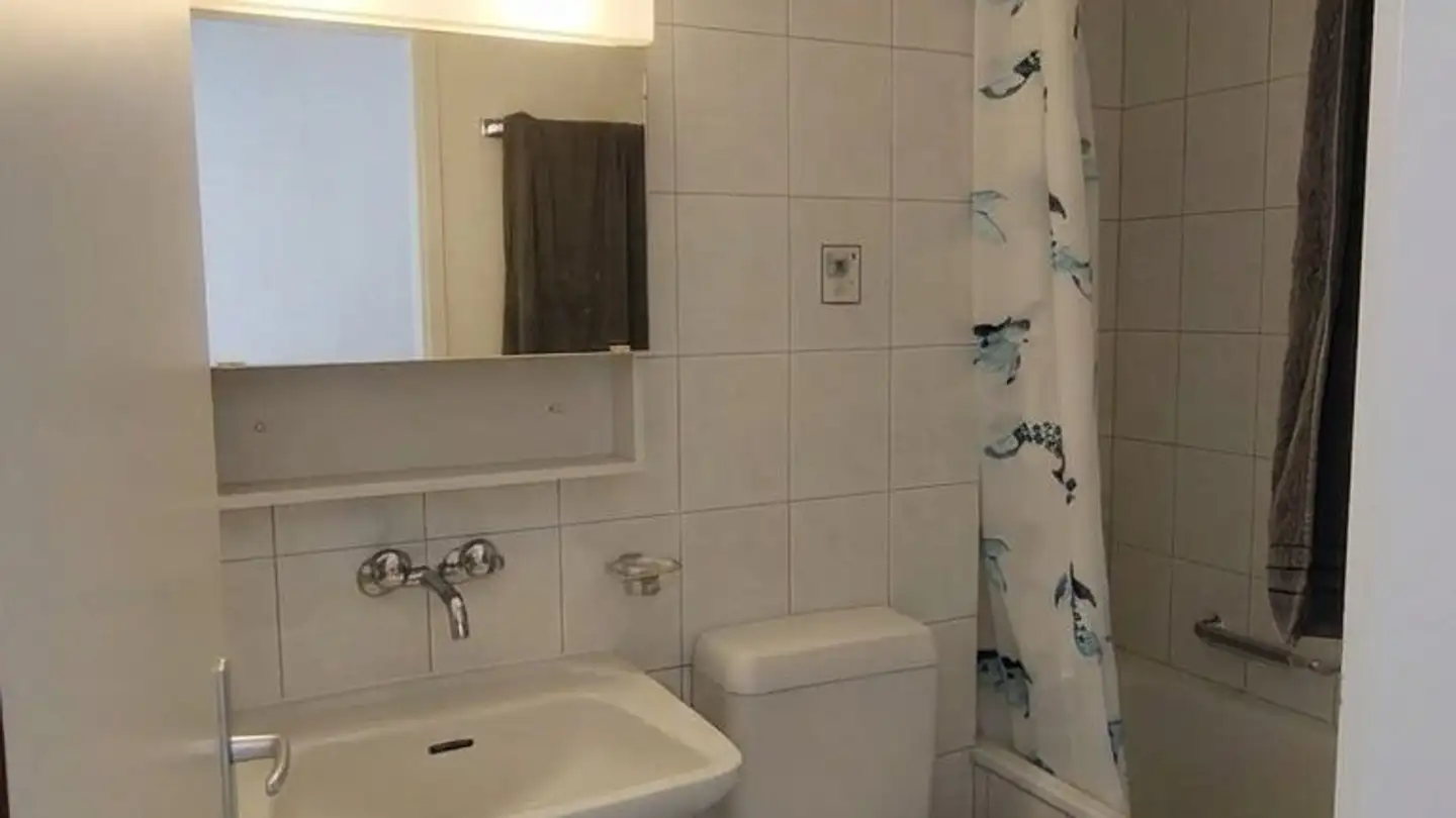 Wohnung mieten - Täschenstrasse 11, 8600 Dübendorf - Foto 2