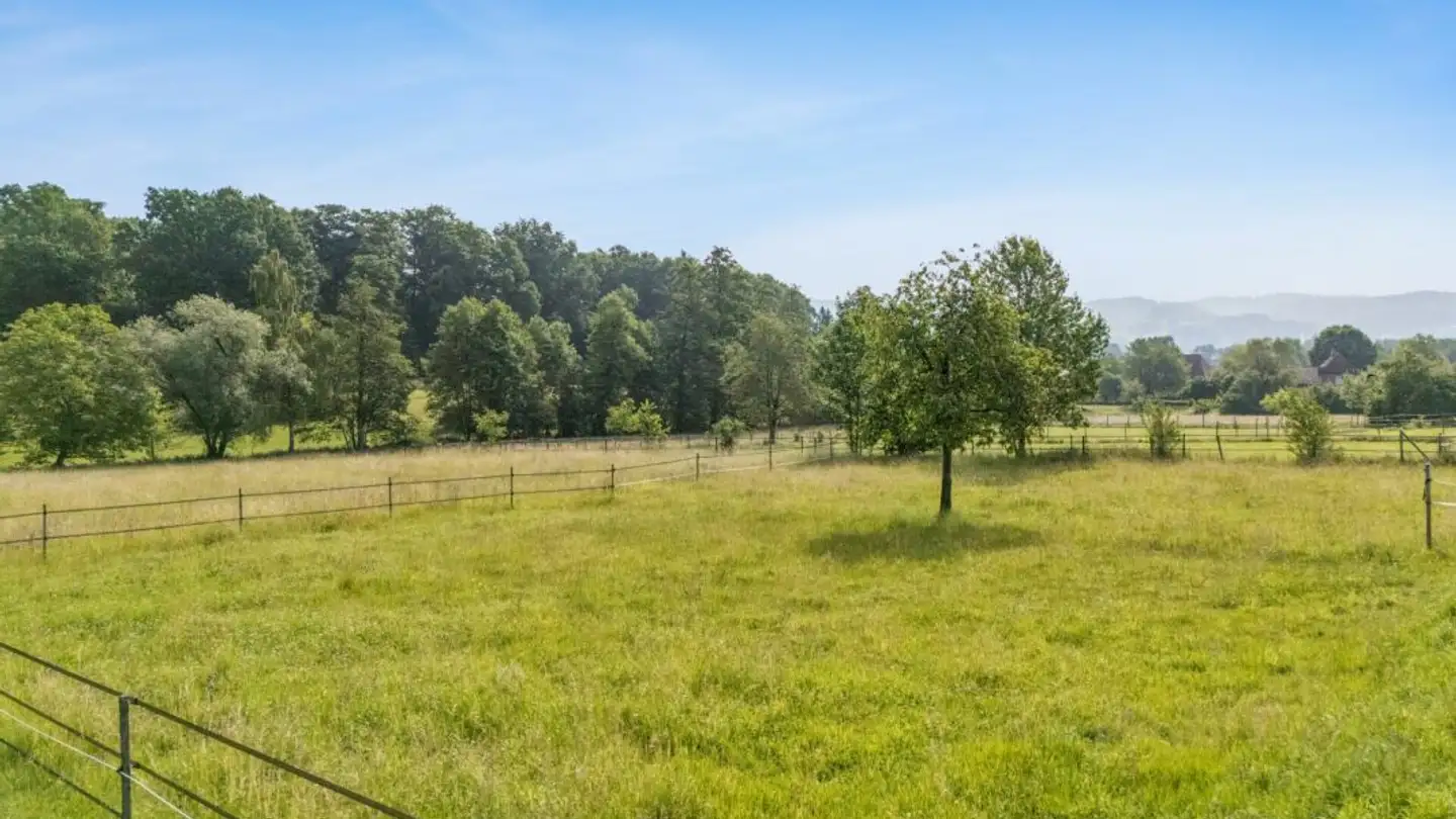 Einfamilienhaus kaufen - Wolfgrubenstrasse 52, 5742 Kölliken - Foto 4