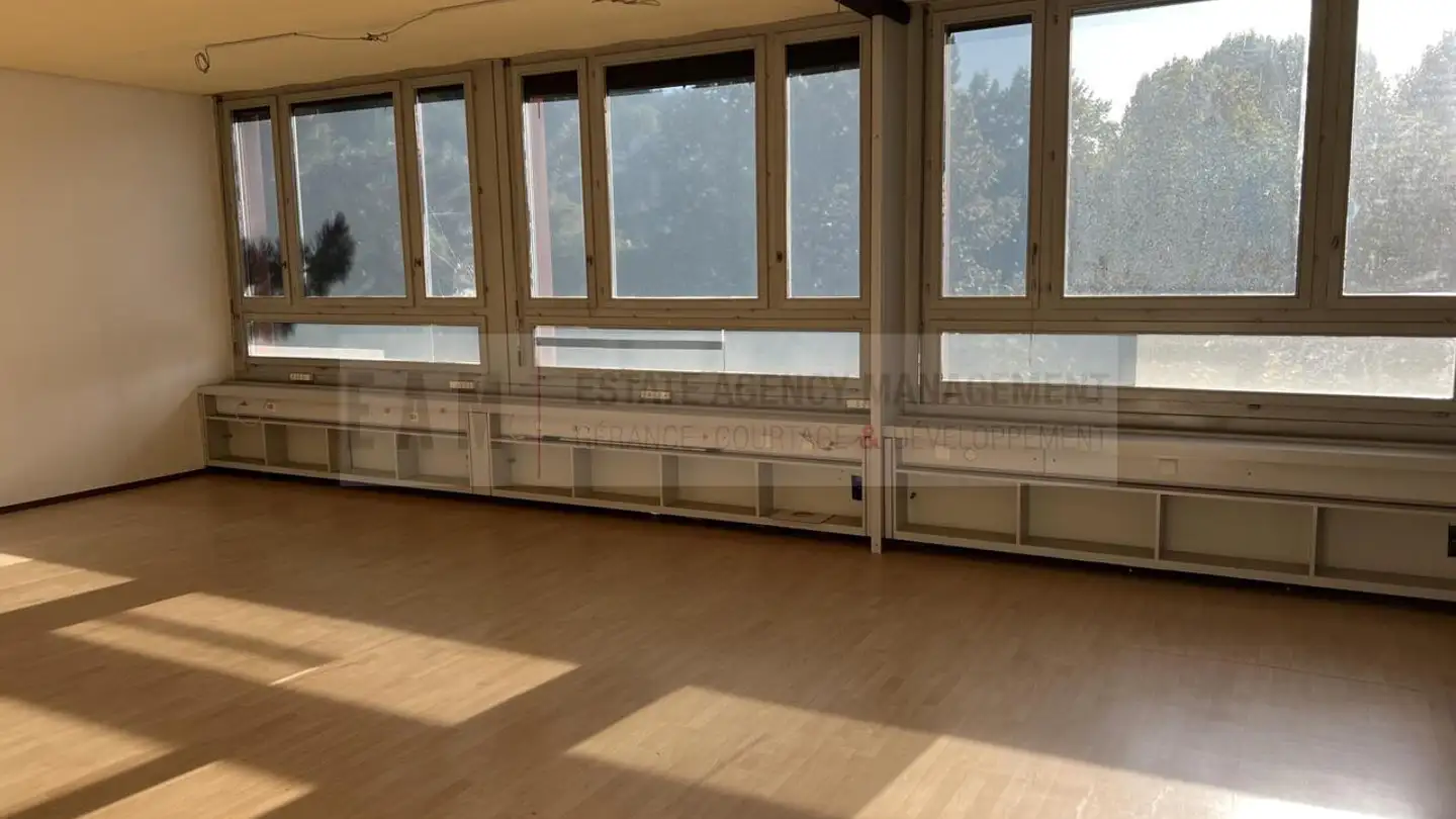 Laboratorio in affitto - 5723 Teufenthal AG - Photo 2