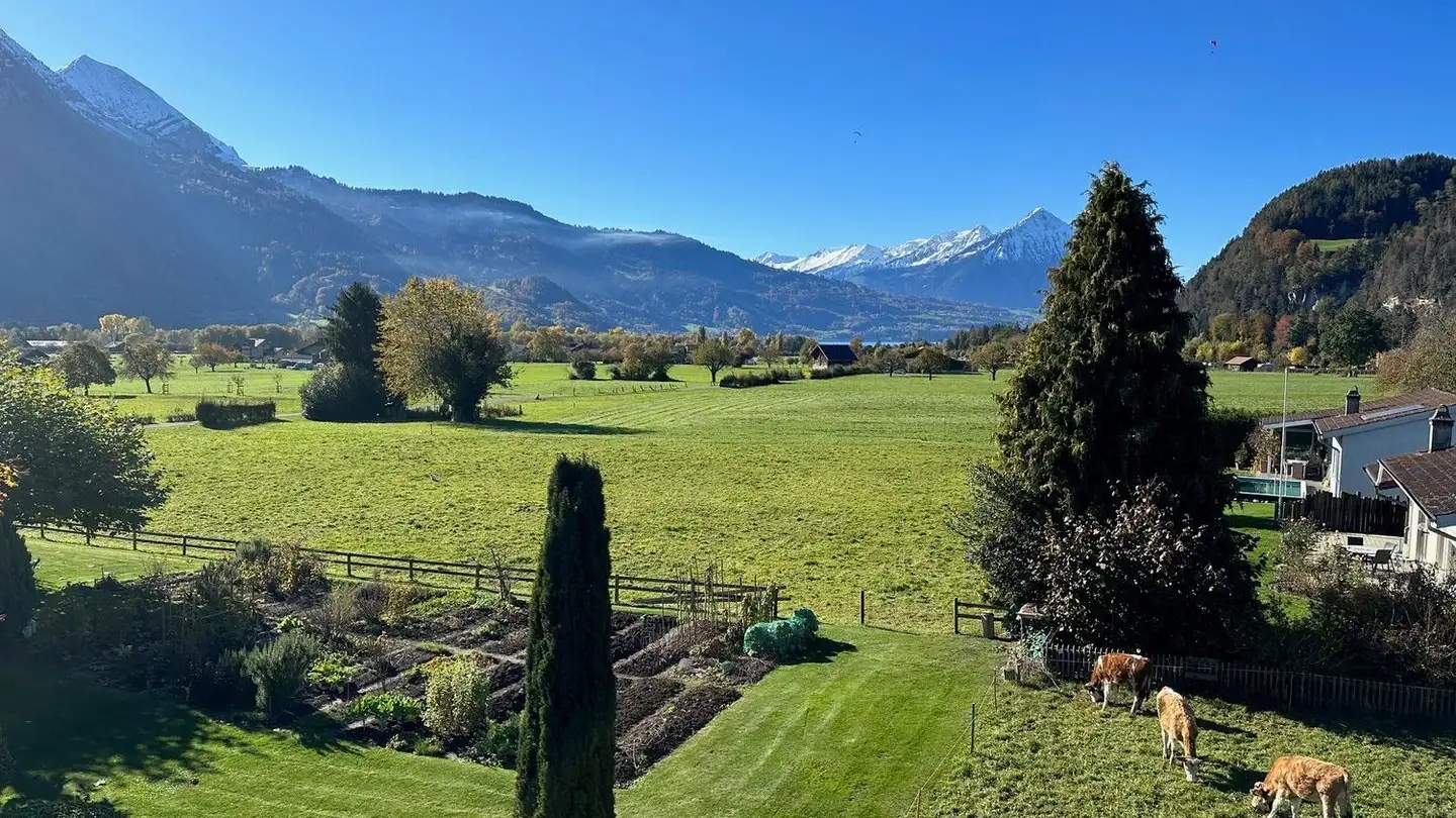 Attique à louer - Vorholzstrasse 52, 3800 Unterseen - Photo 4