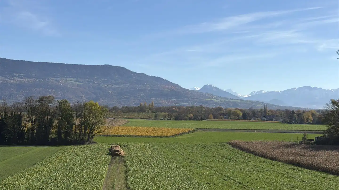 Appartamento in vendita - 1245 Collonge-Bellerive - Photo 3