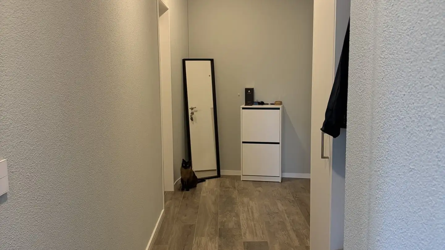 Apartment for rent - 8610 Uster - Photo 3