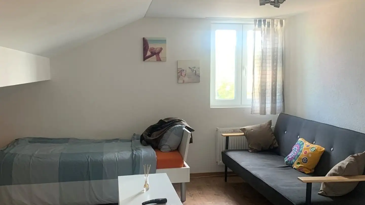 Furnished apartment for rent - Altbergstrasse 2, 8953 Dietikon