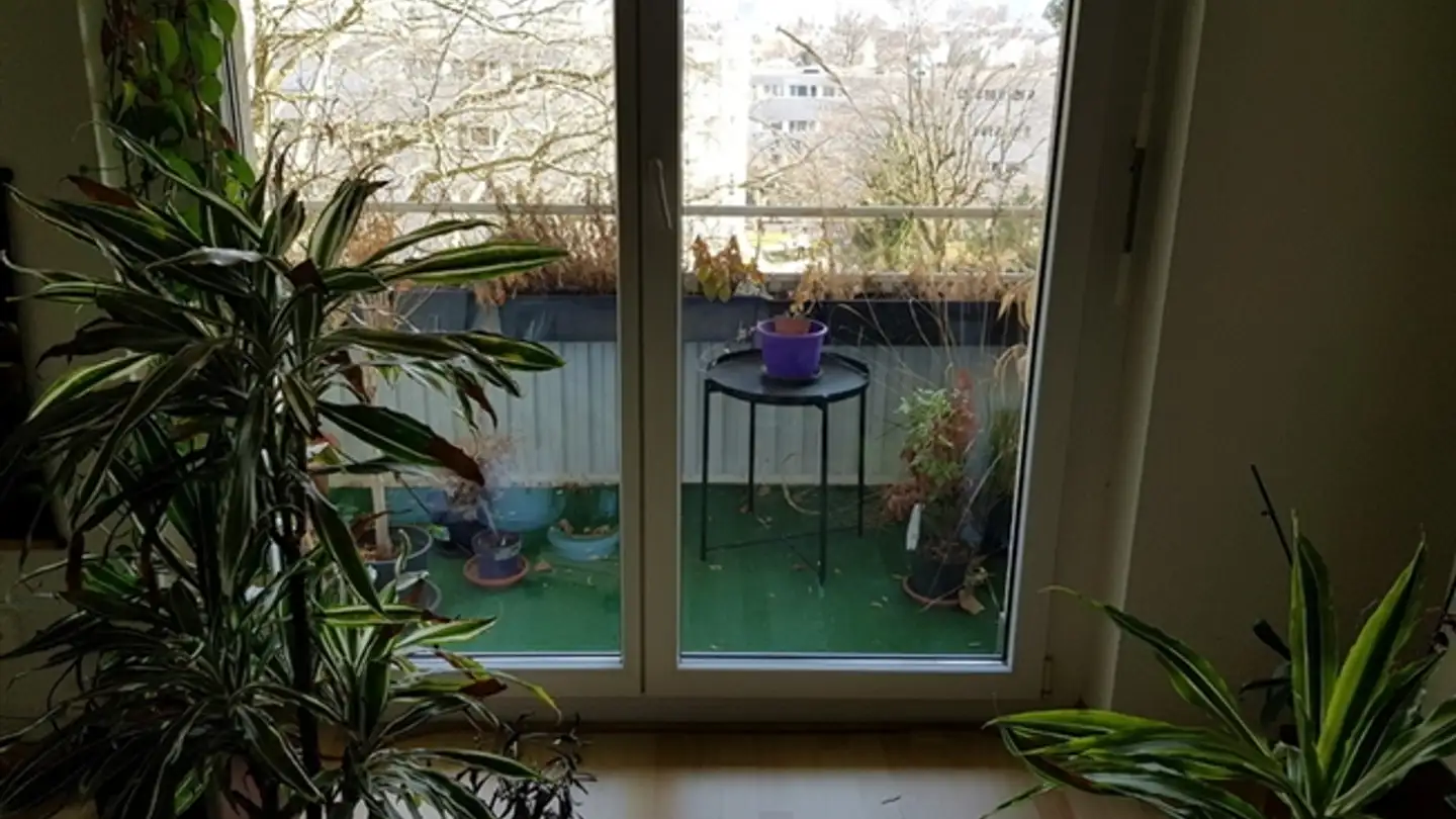 Wohnung mieten - 8052 Zürich