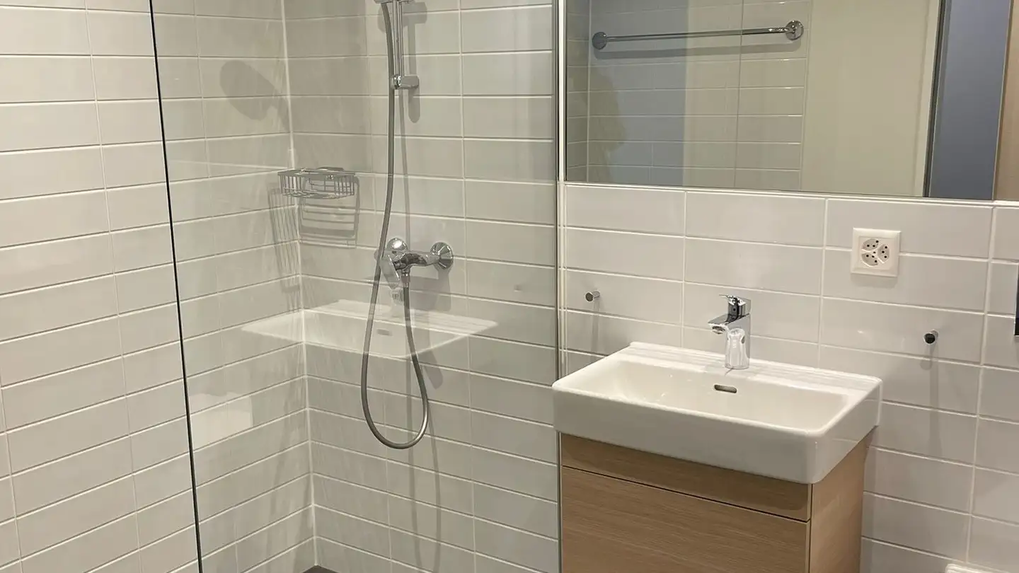 Apartment for rent - Im Sihlhof 2, 8134 Adliswil - Photo 4