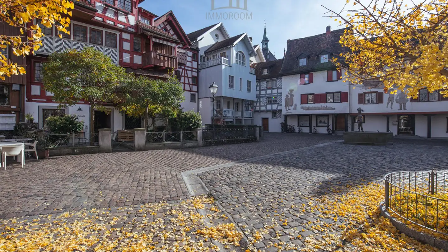 Maison en terrasse à vendre - 9320 Arbon
