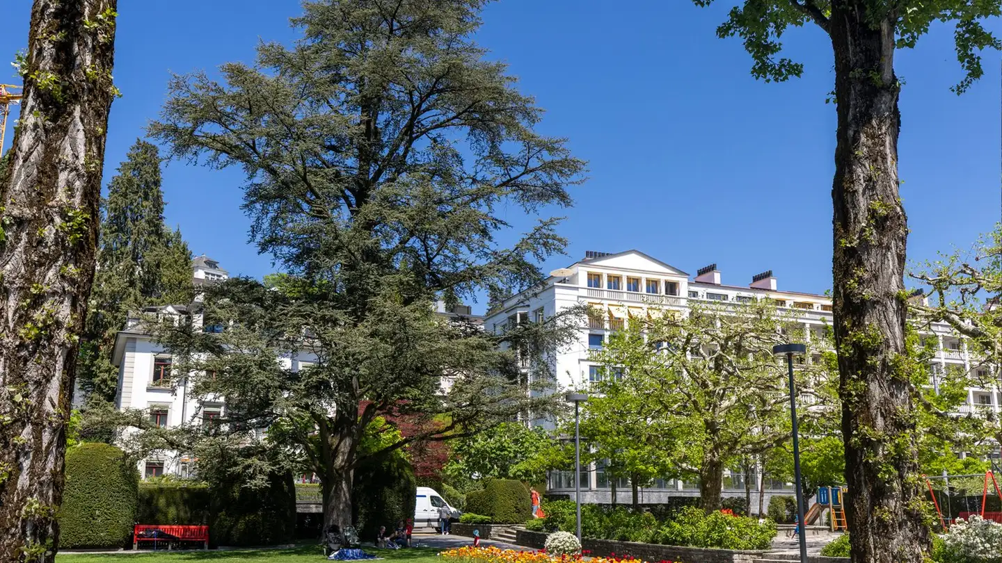 Attico in vendita - Haldenstrasse 57, 6006 Luzern - Photo 2