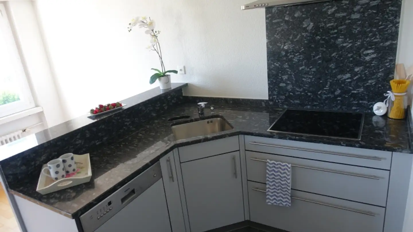 Appartamento in affitto - Unter-Geissenstein 12, 6005 Luzern