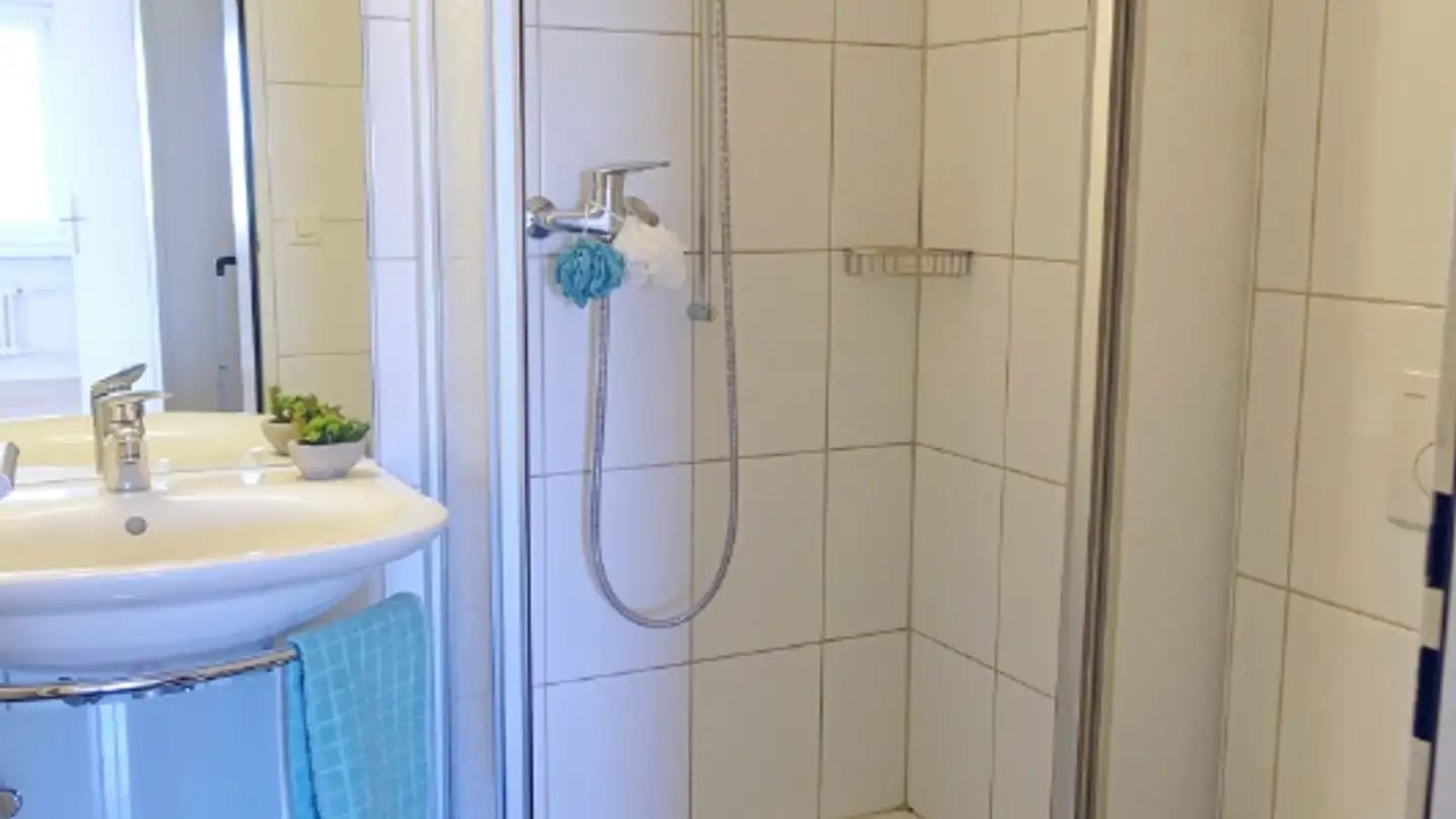 Appartamento in affitto - Unter-Geissenstein 12, 6005 Luzern - Foto 2