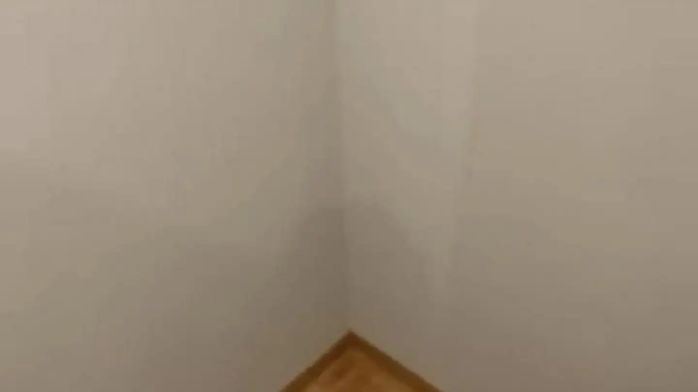 Wohnung mieten - 1202 Genève - Foto 3