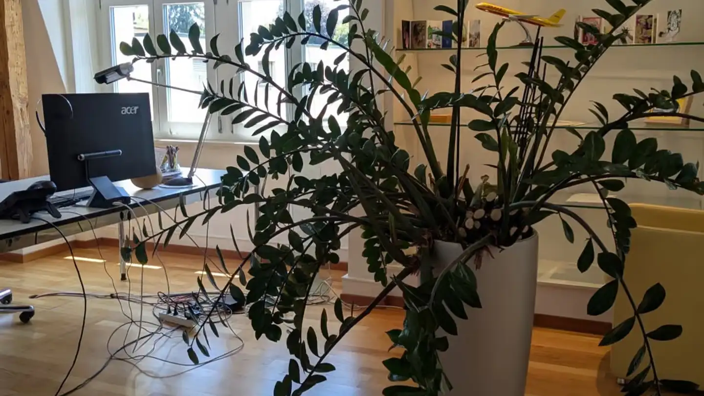 Office space for rent - Jurastrasse 4, 5000 Aarau