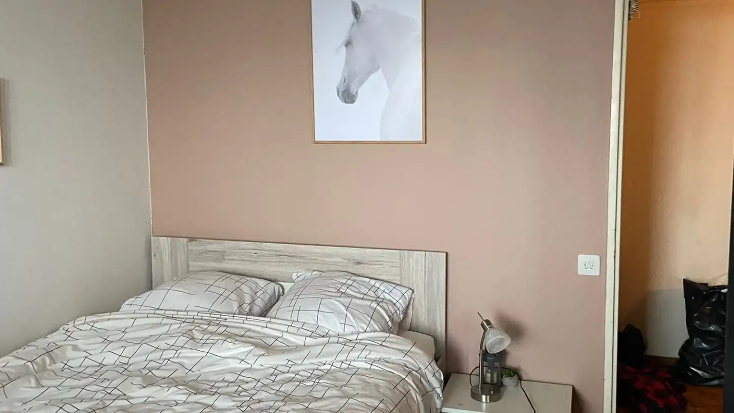 Chambre à louer - Chemin De La Vendée 27, 1213 Petit-Lancy