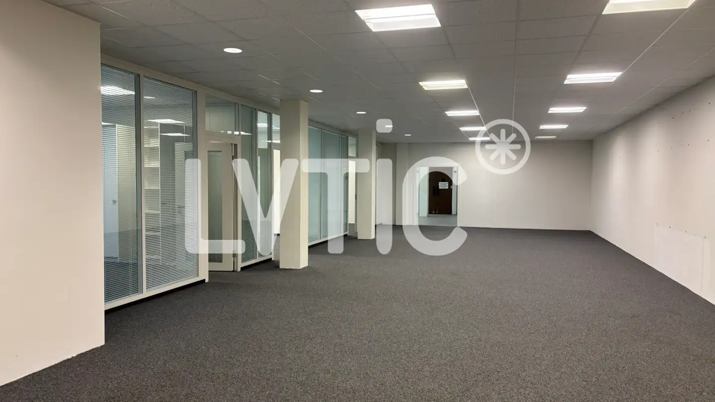 Workshop for rent - 1020 Renens VD