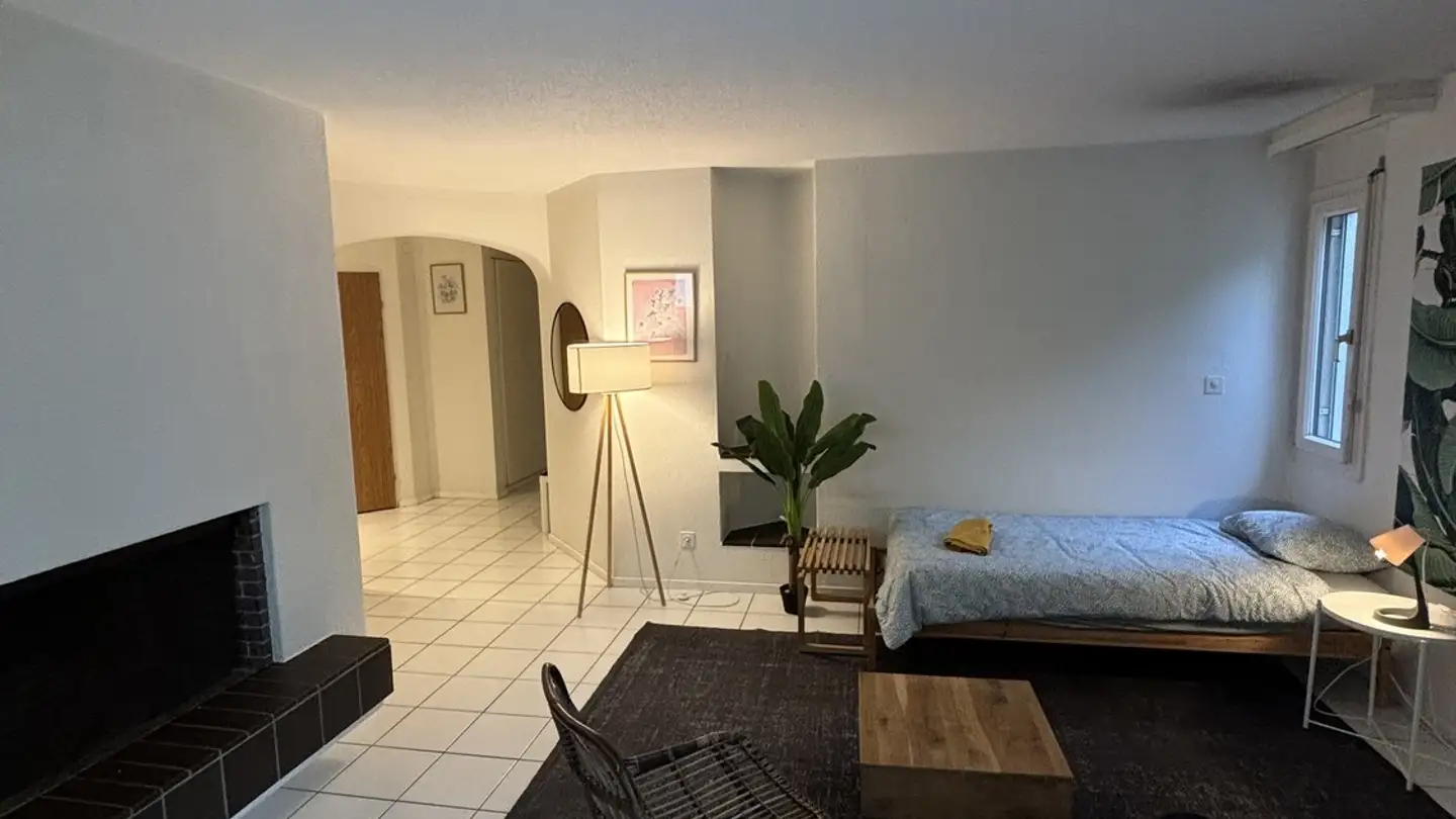 Chambre à louer - Giblenstrasse 53, 8049 Zürich - Photo 3