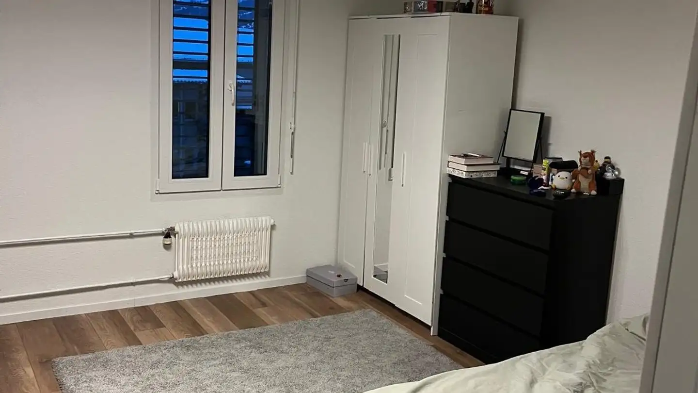 Wohnung mieten - Staatsstrasse 133, 9445 Rebstein - Foto 3