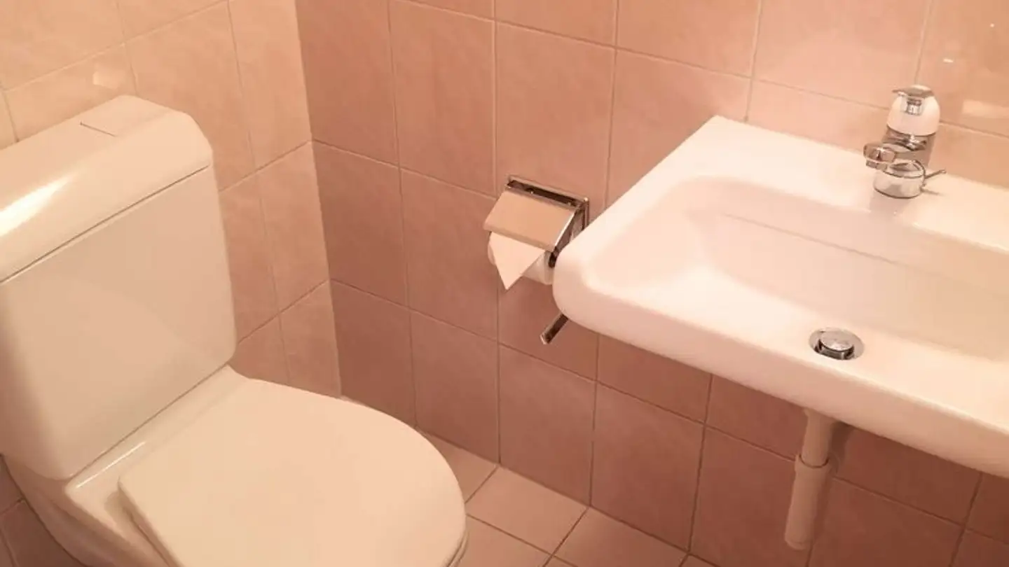 Storage space for rent - Hofwiesenstrasse 2, 8634 Hombrechtikon - Photo 4