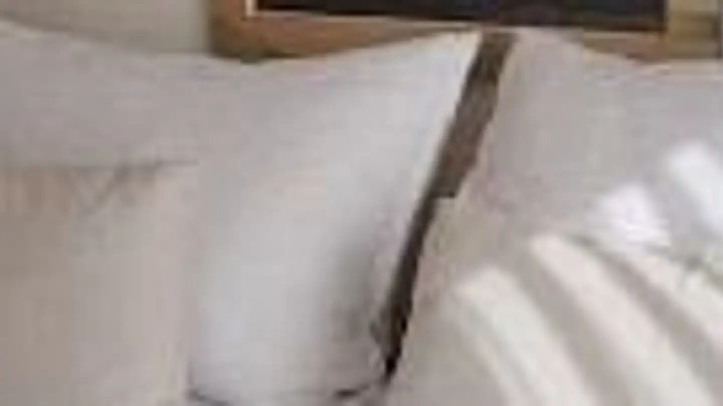 Möblierte Wohnung kaufen - 3823 Wengen - Foto 3