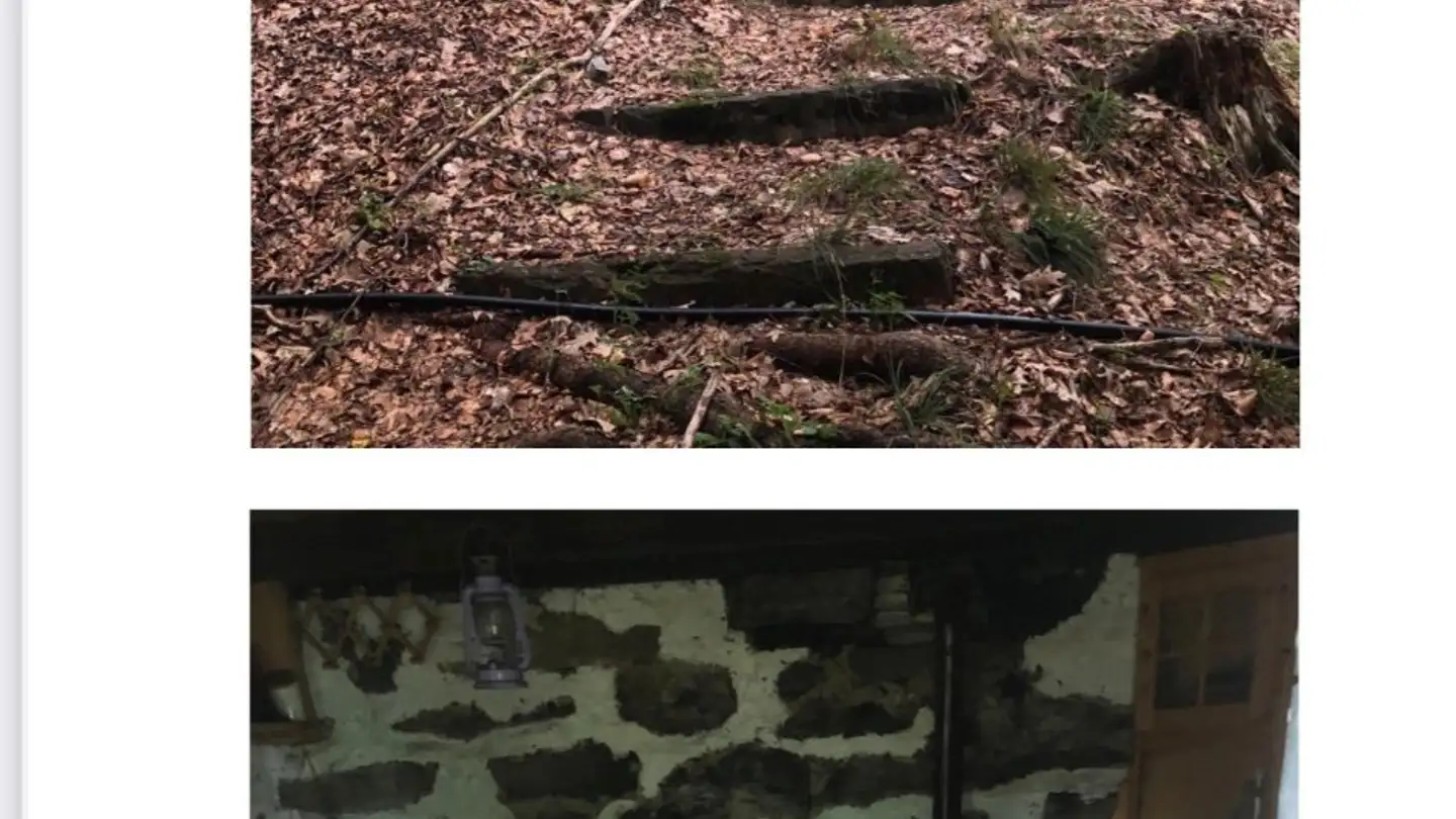 Casa singola in affitto - 6946 Ponte Capriasca - Photo 3