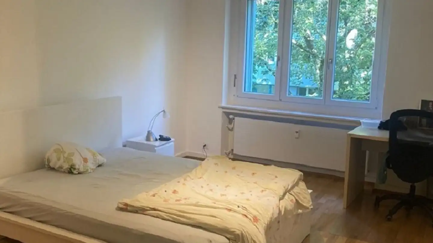 Appartamento in affitto - St. Alban-Ring 185, 4052 Basel - Foto 2