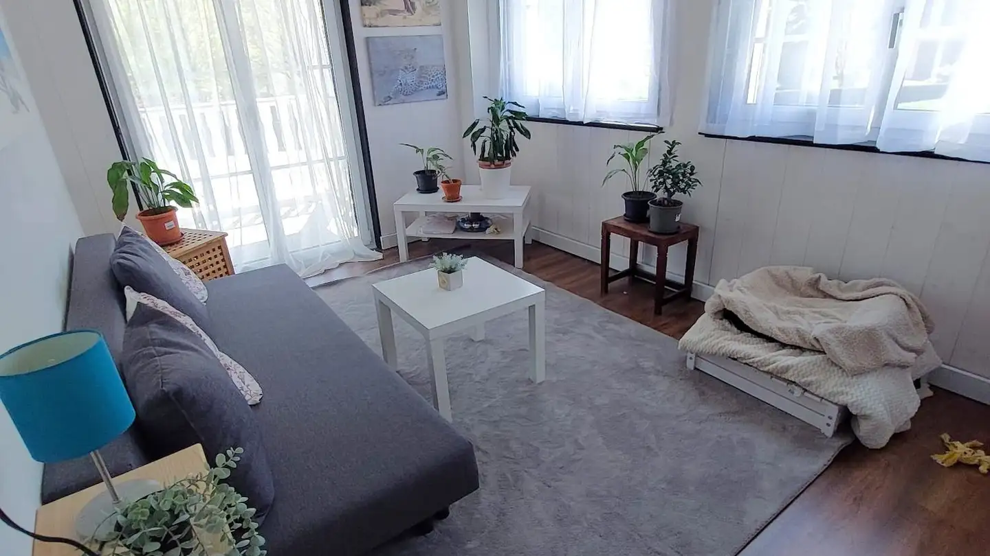 Apartment for rent - 4714 Aedermannsdorf - Photo 2