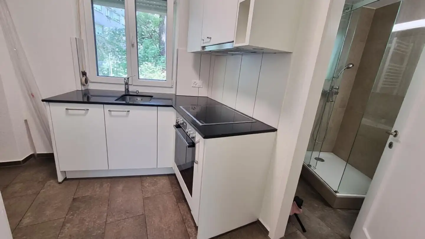 Möblierte Wohnung mieten - Schwendenweg 6, 8003 Zürich
