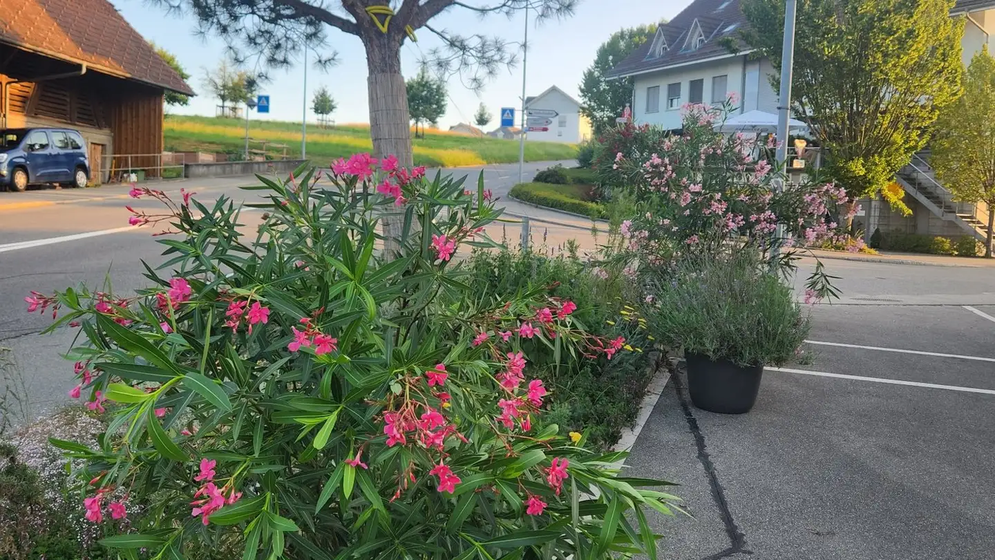 Stanza singola in affitto - Bernstrasse 20, 3312 Fraubrunnen - Foto 4