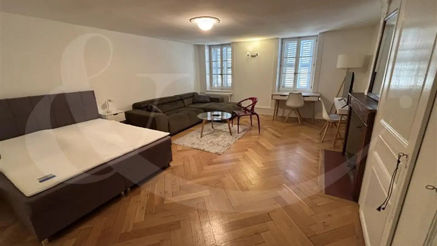 Appartamento in affitto - Rue Ancienne 27, 1227 Carouge GE